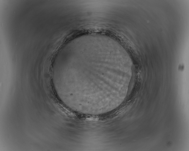 X0000093730961200711060957