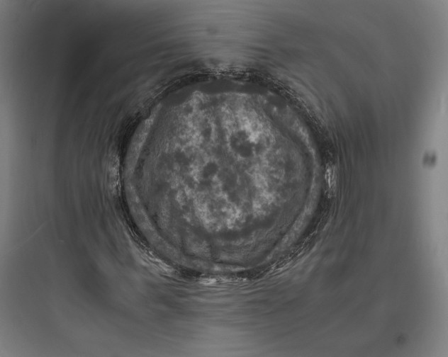 X0000093730963200711060957