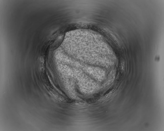 X0000093730964200711060957