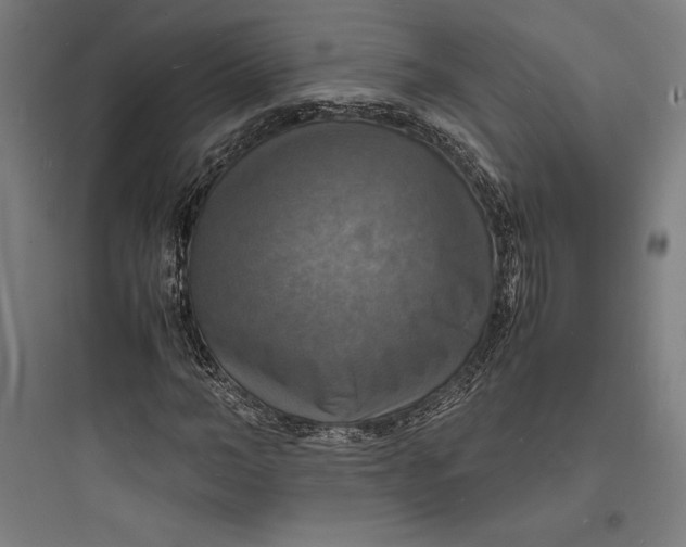 X0000093730966200711060957