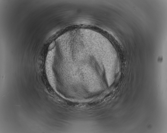 X0000093730967200711060957