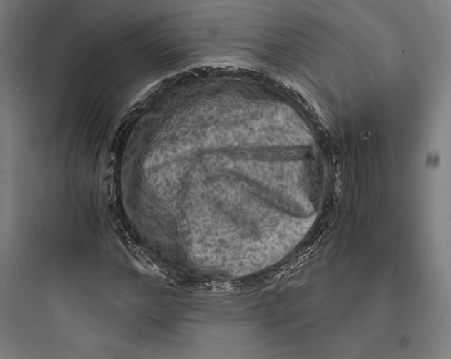 X0000093730968200711060957