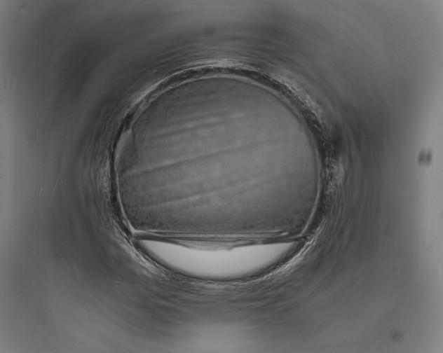 X0000093730969200711060957