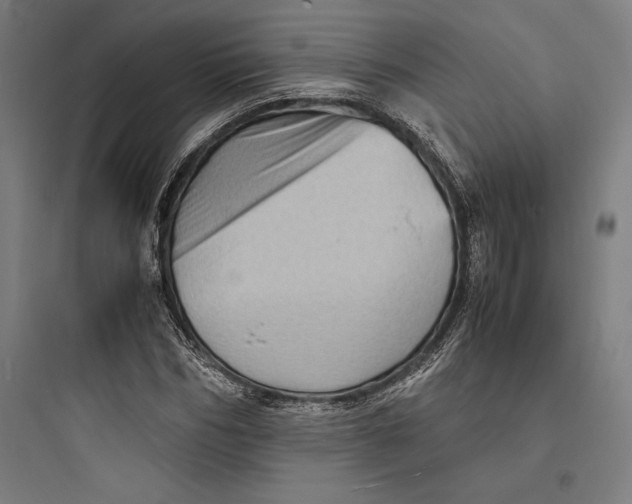 X0000093730970200711060957