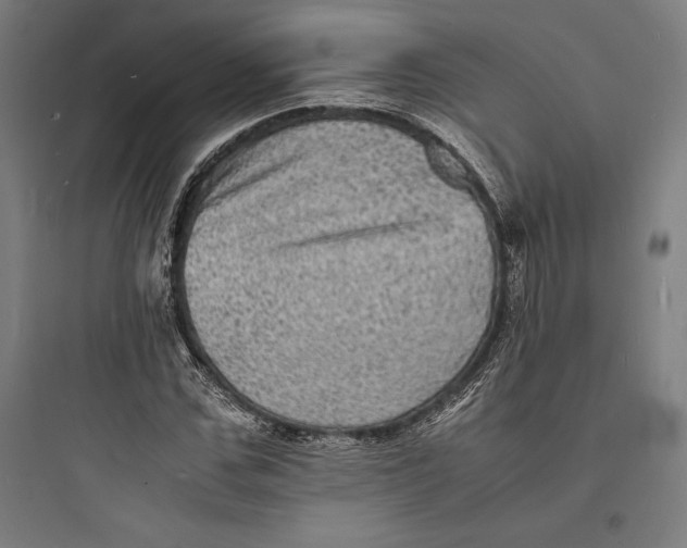 X0000093730971200711060957