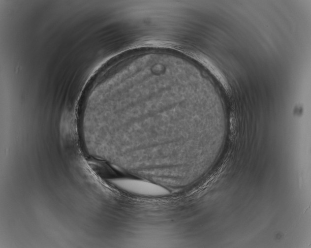 X0000093730972200711060957