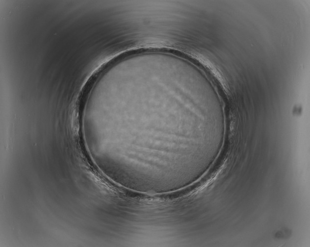 X0000093730973200711060957