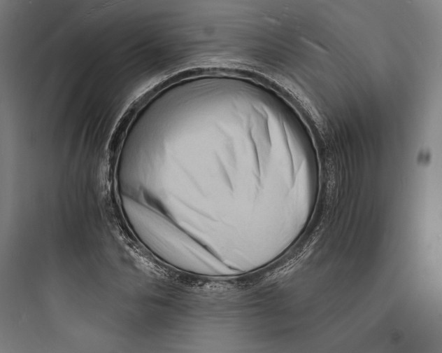 X0000093730974200711060957