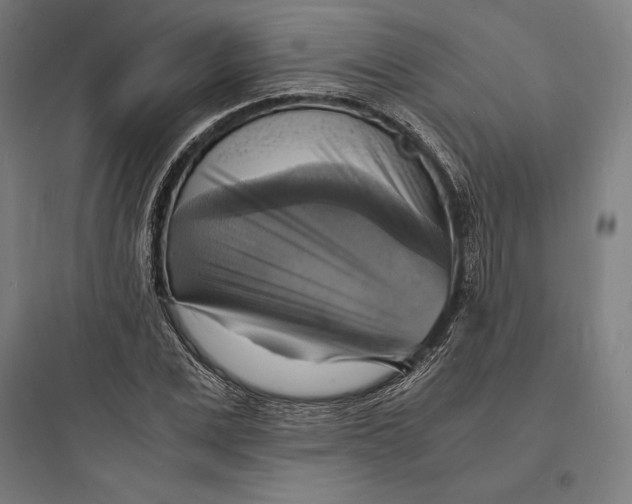 X0000093730975200711060957