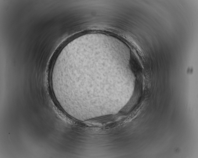 X0000093730976200711060957