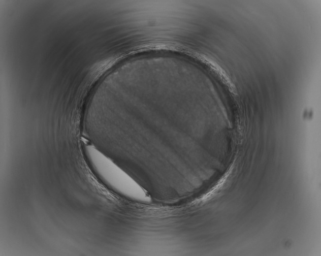 X0000093730977200711060957