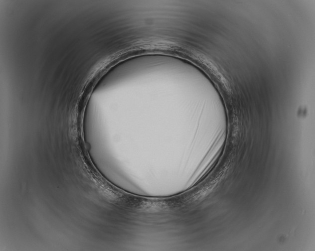 X0000093730978200711060957