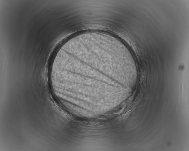 X0000093730979200711060957