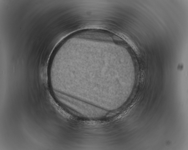 X0000093730980200711060957