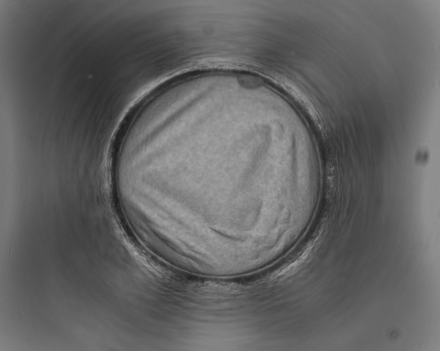 X0000093730981200711060957