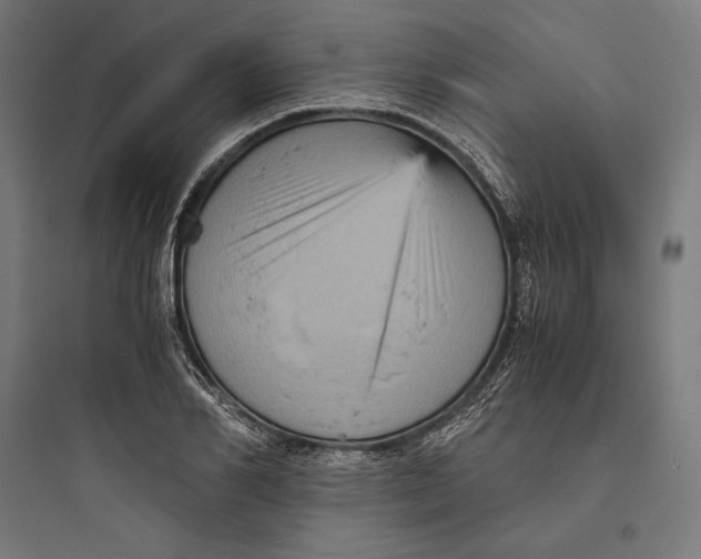 X0000093730982200711060957