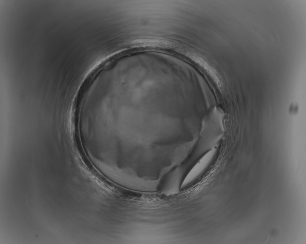 X0000093730983200711060957