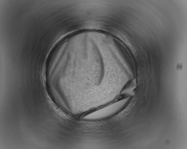 X0000093730984200711060957