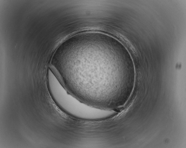 X0000093730985200711060957