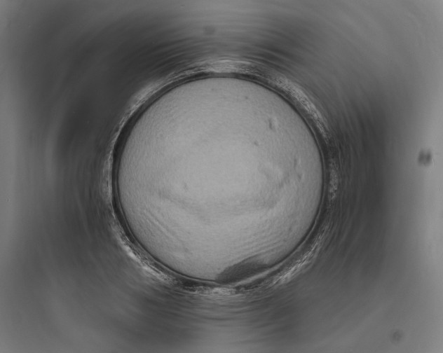 X0000093730986200711060957