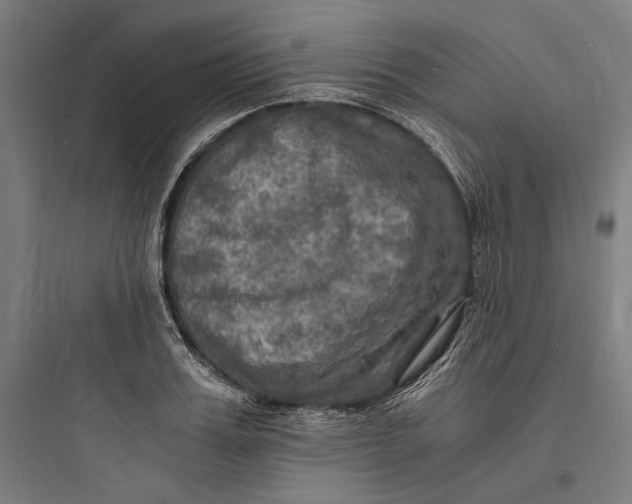 X0000093730987200711060957