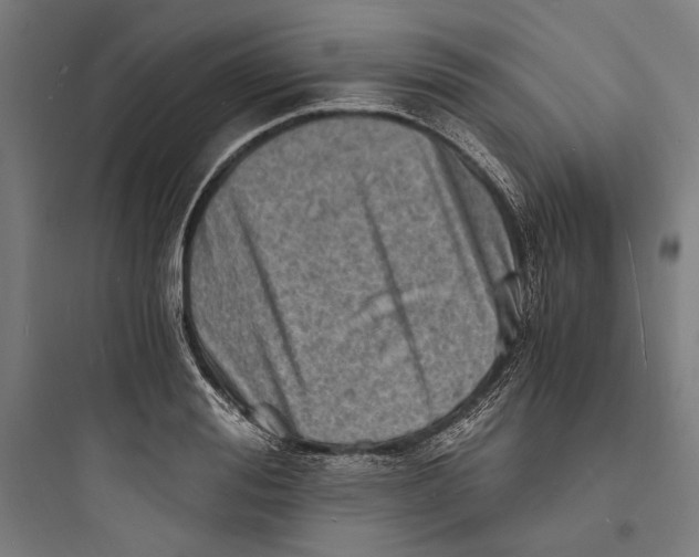 X0000093730988200711060957