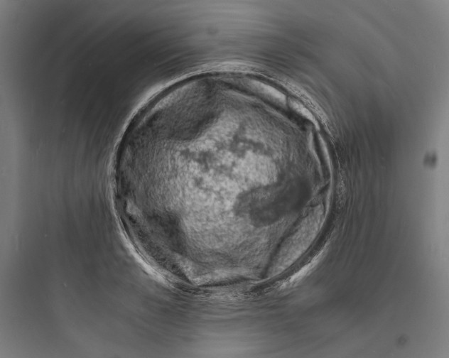 X0000093730989200711060957