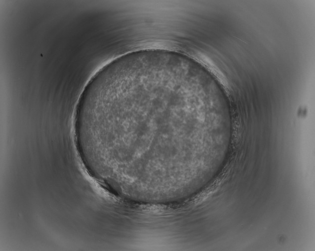 X0000093730991200711060957