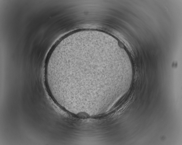 X0000093730992200711060957