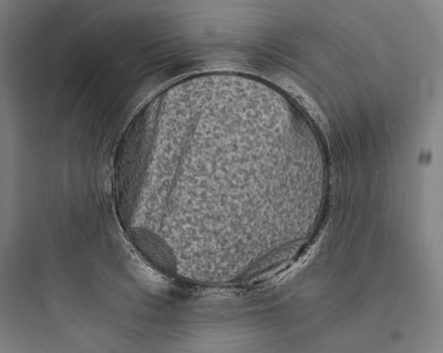 X0000093730993200711060957