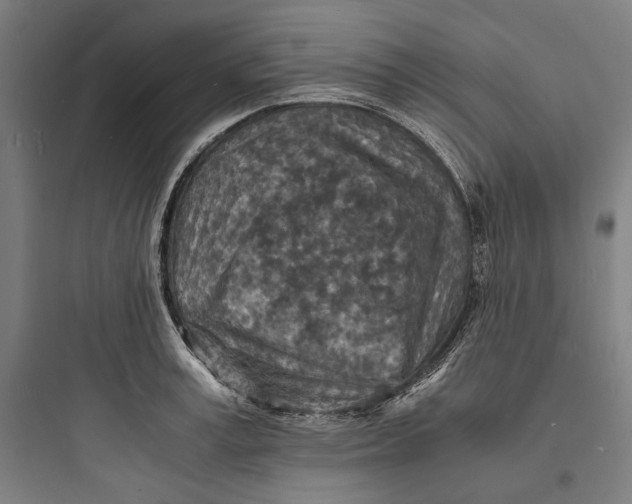 X0000093730995200711060956