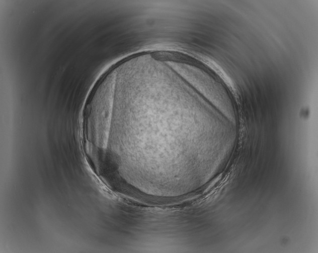 X0000093730996200711060956