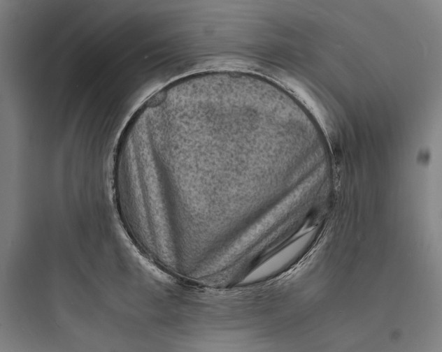 X0000093730997200711060956