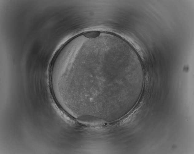 X0000093730998200711060956