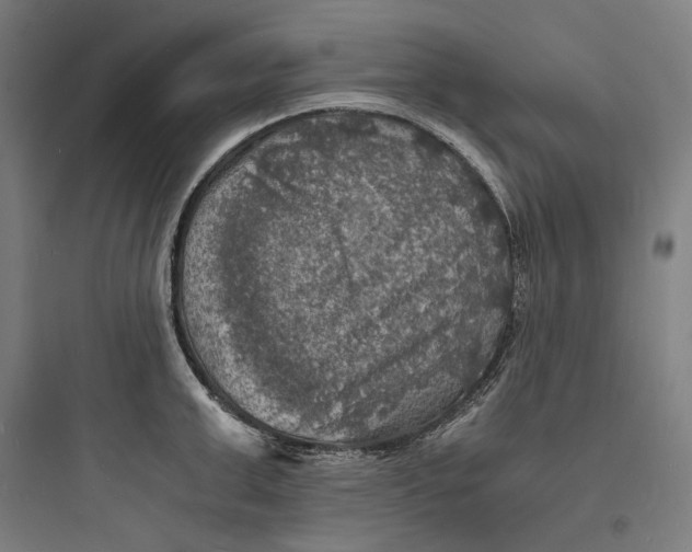 X0000093730999200711060956