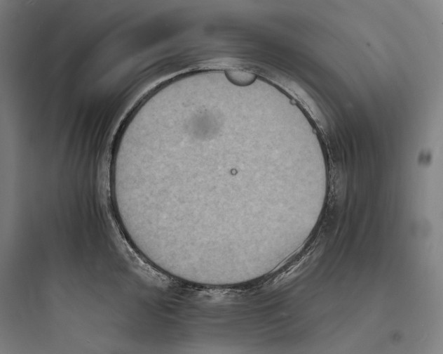 X0000093731000200711060956