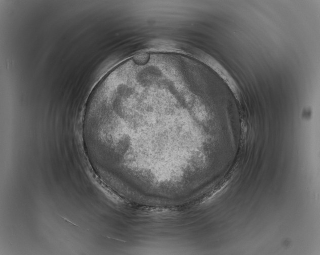 X0000093731002200711060956