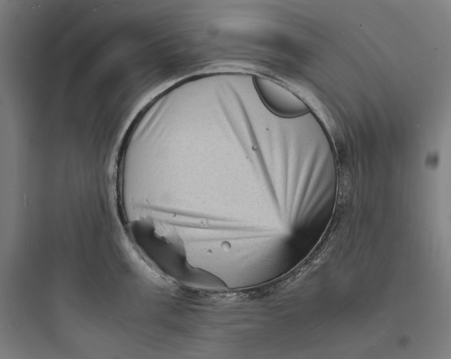 X0000093731003200711060956