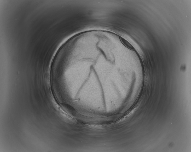 X0000093731004200711060956