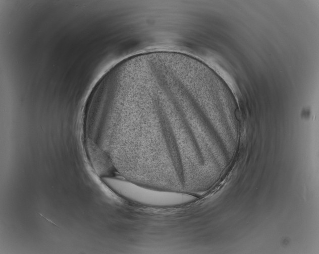 X0000093731005200711060956