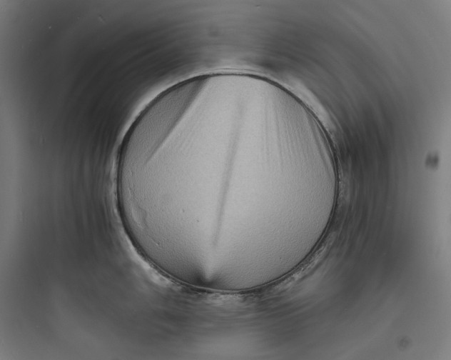 X0000093731006200711060956