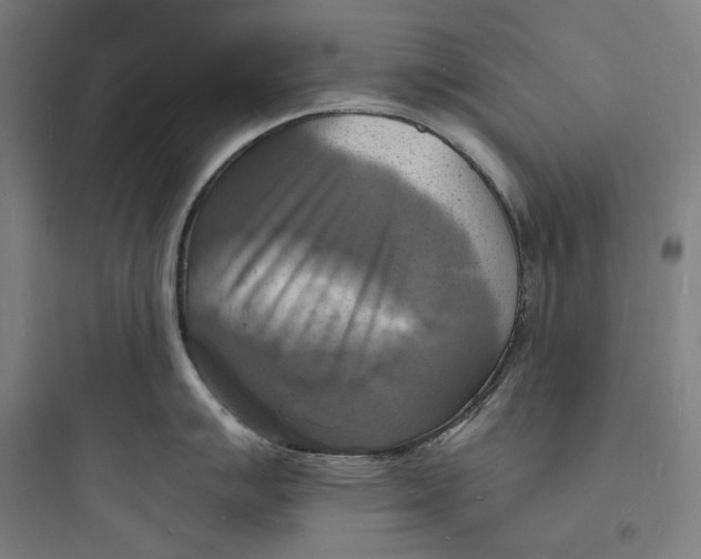 X0000093731007200711060956