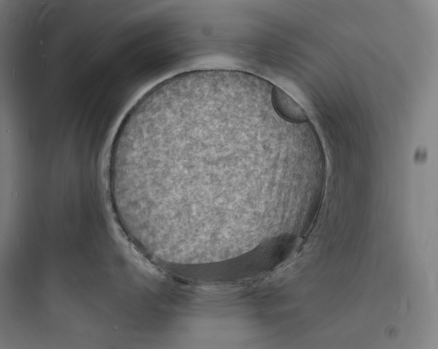 X0000093731008200711060956