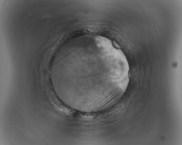 X0000093731009200711060956