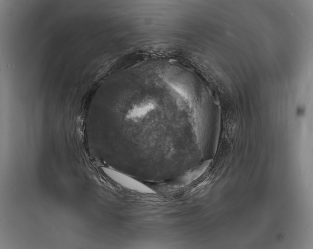 X0000093731010200711060956