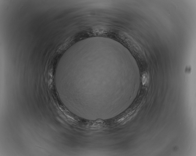 X0000093731011200711060956