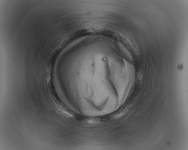 X0000093731012200711060956