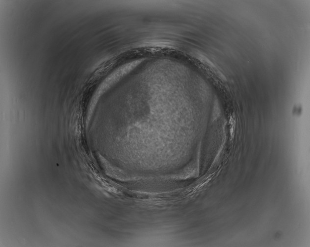 X0000093731014200711060956