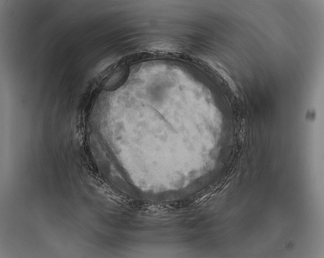 X0000093731015200711060956