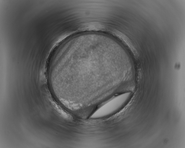 X0000093731018200711060956